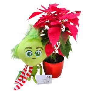 Flor de Pascua con peluche Grinch