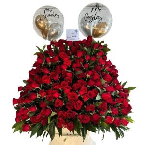 Arreglo semiredondo de 120 cm x 90 cm con 150 rosas rojas y globos burbuja personalizados