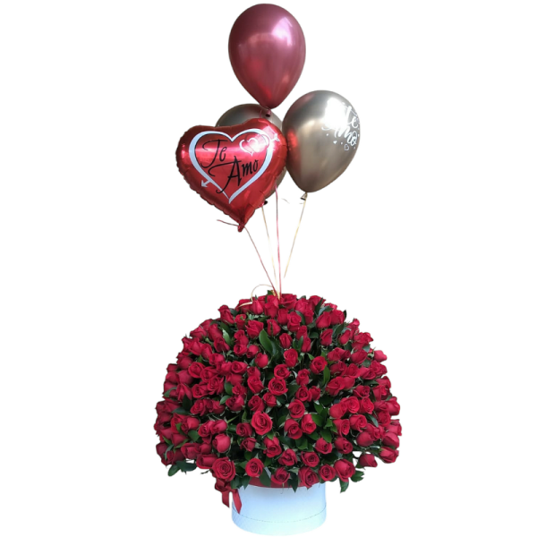 Arreglo floral en caja redonda con 300 rosas rojas, un globo metalizado y 3 globos en helio