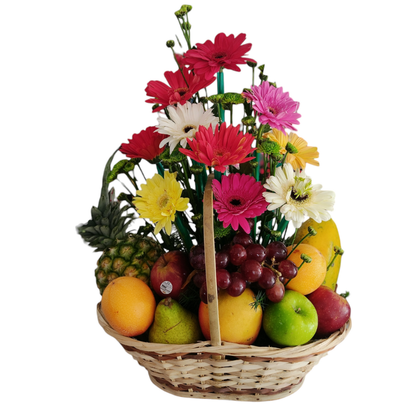 Canasta de frutas frescas adornada con 12 gerberas de colores variados y follaje verde.