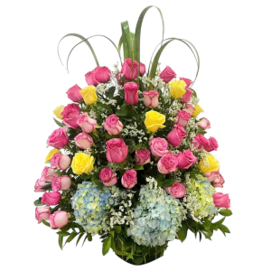 Jardín floral en base con 100 rosas surtidas en tonos fucsia y amarillo, hortensias azules y follaje decorativo