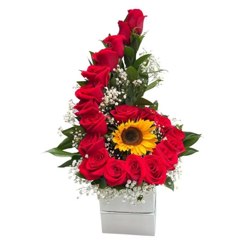 Arreglo floral con 20 rosas rojas, un girasol y base cúbica decorativa