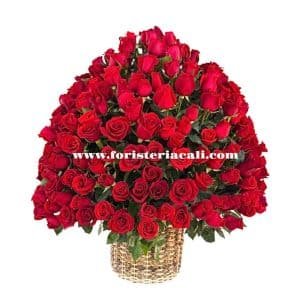 Arreglo Redondo de 300 Rosas Rojas en Canasto de Lujo