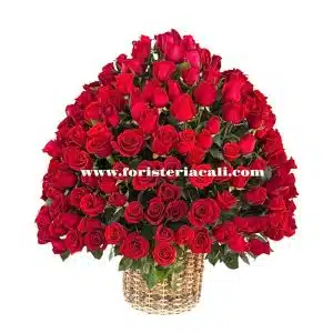 Arreglo Redondo de 300 Rosas Rojas en Canasto de Lujo