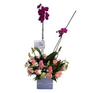Mata de Orquídea con Rosas y Estrella de Belén