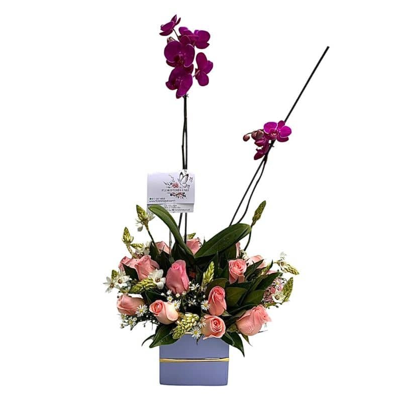 Mata de orquídea con rosas y Estrella de Belén