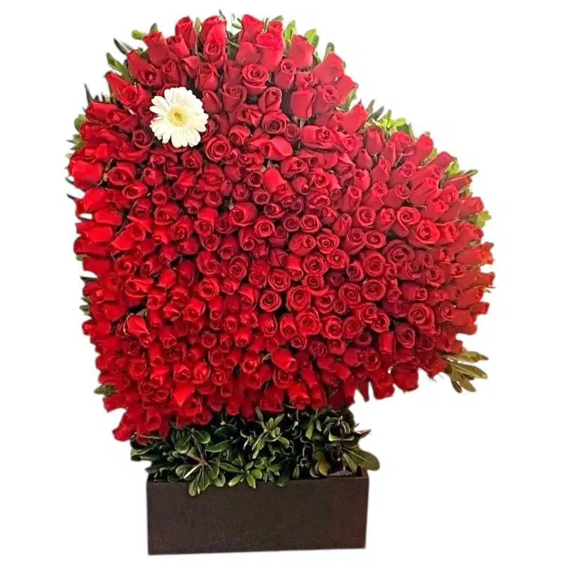 Corazón gigante en base de madera con 630 rosas rojas y follajes verdes